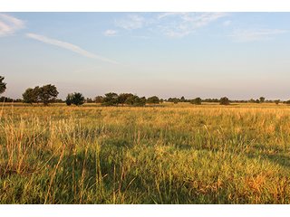 Tract 3 - LAND AUCTION - 440+/- Acres offered in 15 Tracts in Tulsa County